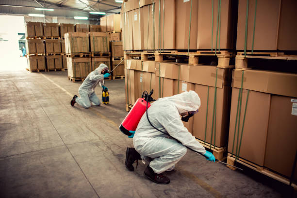 Best Mosquito Control Services  in North Haledon, NJ