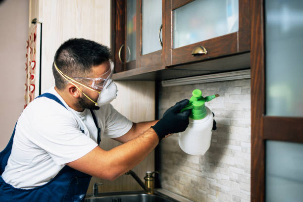 Best Cockroach Control Services  in North Haledon, NJ