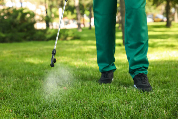 Best Residential Pest Control  in North Haledon, NJ