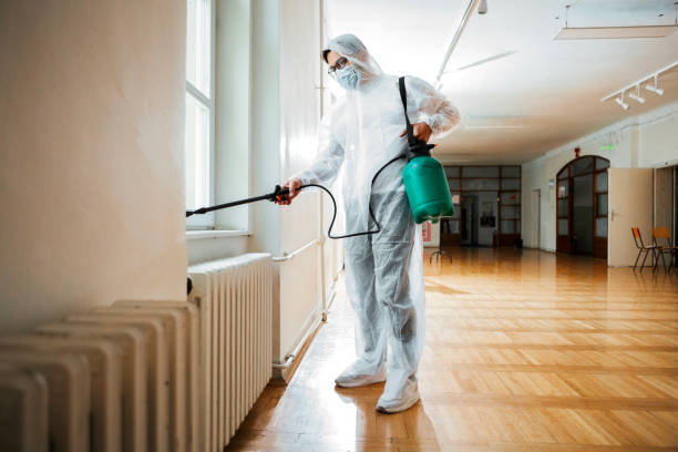 Wasp Removal Services in North Haledon, NJ