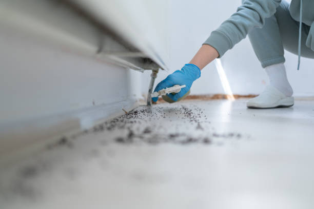 Best Bed Bug Extermination  in North Haledon, NJ