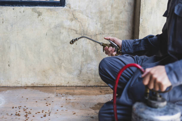 Best Affordable Pest Control Services  in North Haledon, NJ